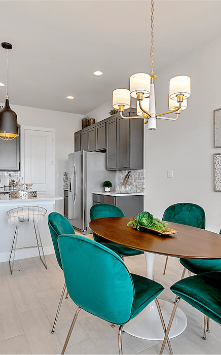 Modern kitchen and diving table featuring nice green chairs